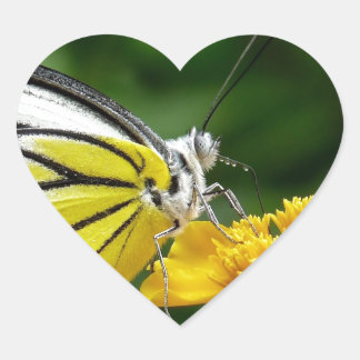 Yellow and Red Butterfly on Yellow Flower Heart Sticker