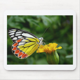 Yellow and Red Butterfly on Yellow Flower Mouse Pad