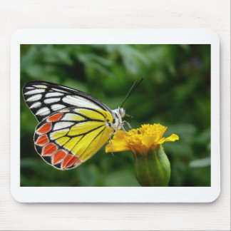 Yellow and Red Butterfly on Yellow Flower Mouse Pad