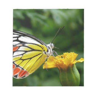 Yellow and Red Butterfly on Yellow Flower Notepad