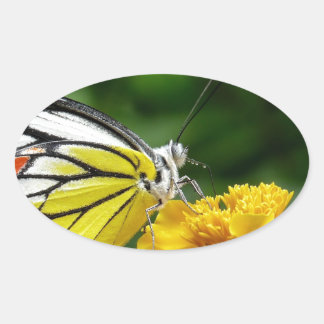 Yellow and Red Butterfly on Yellow Flower Oval Sticker