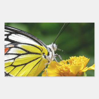 Yellow and Red Butterfly on Yellow Flower Rectangular Sticker
