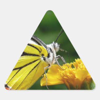 Yellow and Red Butterfly on Yellow Flower Triangle Sticker