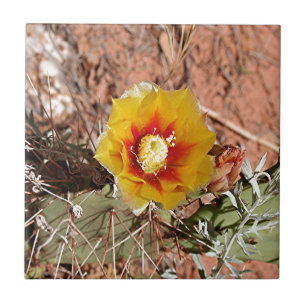 Yellow and red cactus flower in bloom ceramic tile