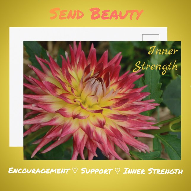 Yellow and Red Dahlia Flower Botanical Floral Postcard (Creator Uploaded)