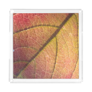 Yellow And Red Fall Leaf Acrylic Tray