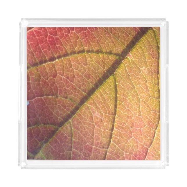 Yellow And Red Fall Leaf  Acrylic Tray (Front)