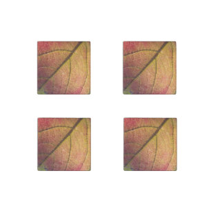 Yellow And Red Fall Leaf Stone Magnet