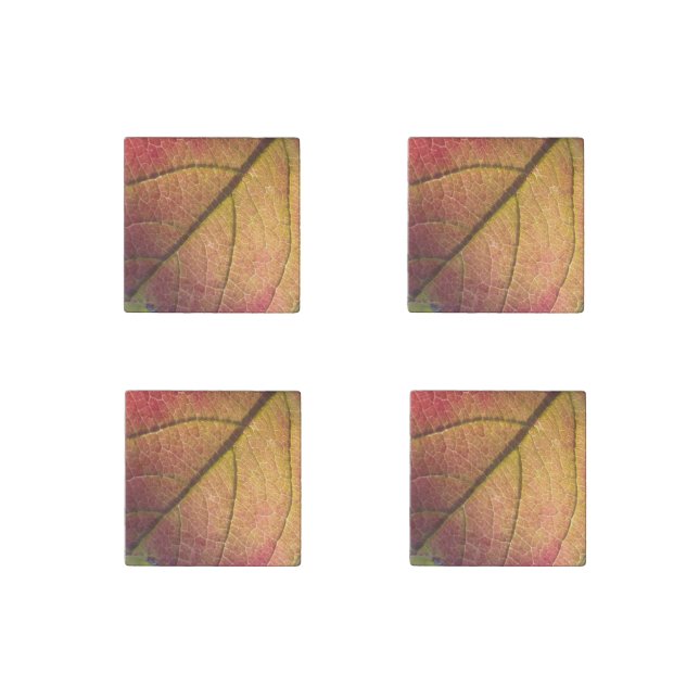 Yellow And Red Fall Leaf  Stone Magnet (Front)