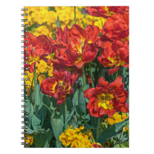 Yellow and red flowers notebook