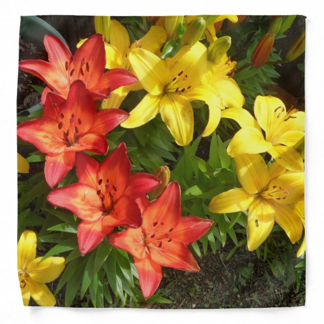 Yellow and Red Garden Lily w/green foilage Bandana (Front)