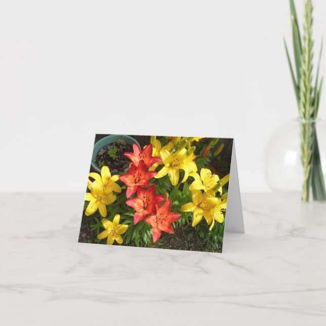 Yellow and Red Lily Flower Photo Design Greeting Card (Front)