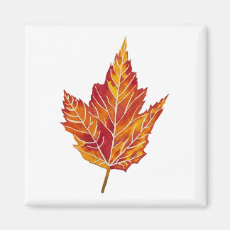 Yellow and Red Maple Leaf Magnet