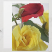 Yellow and Red Roses (Front/Back)