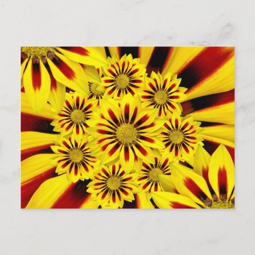 Yellow and Red Striped Gerbera Daisy Sunflower Postcard