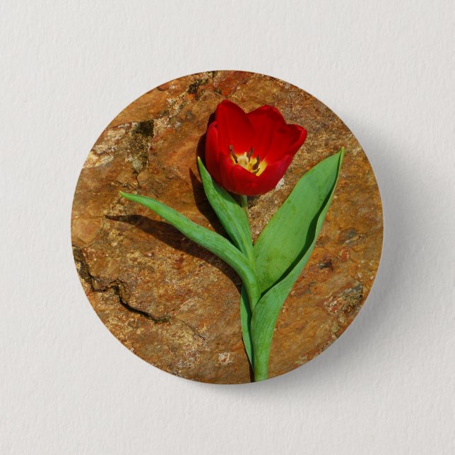 Yellow and Red Tulip Button (Front)