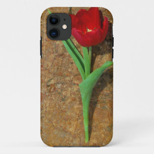 yellow and Red Tulip iPhone 11 Case