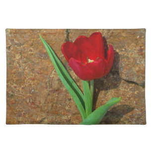 yellow and Red Tulip Cloth Placemat