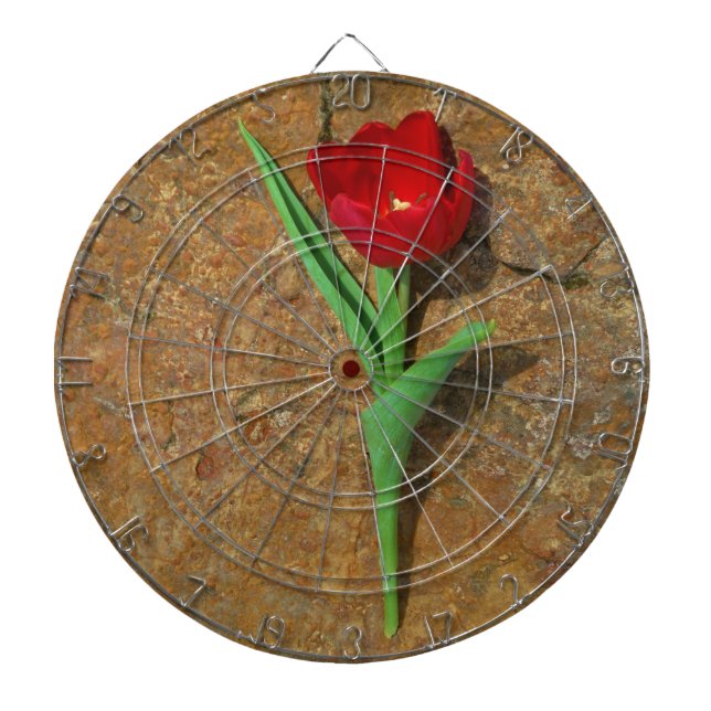 yellow and Red Tulip Dartboard With Darts (Front)