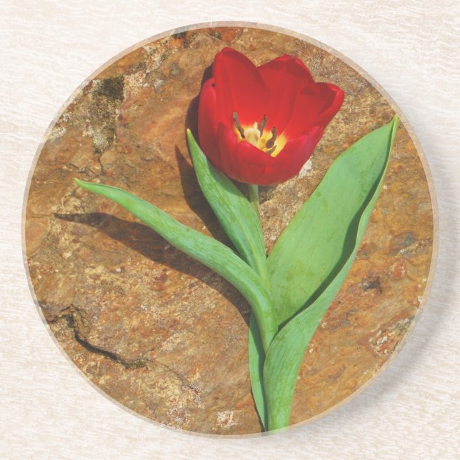 Yellow and Red Tulip Drink Coaster (Front)