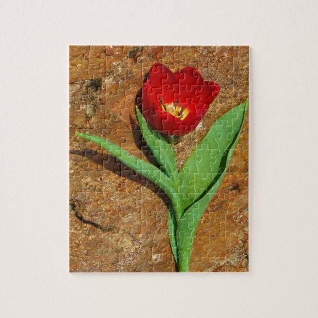 Yellow and Red Tulip Jigsaw Puzzle (Vertical)