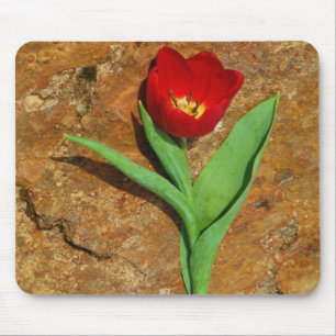 Yellow and Red Tulip Mouse Pad