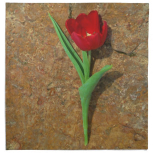 yellow and Red Tulip Napkin