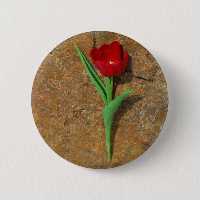 yellow and Red Tulip Pinback Button (Front)