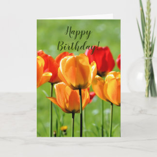 Yellow And Red Tulips Card