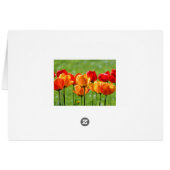 Yellow And Red Tulips Cards (Back Horizontal)