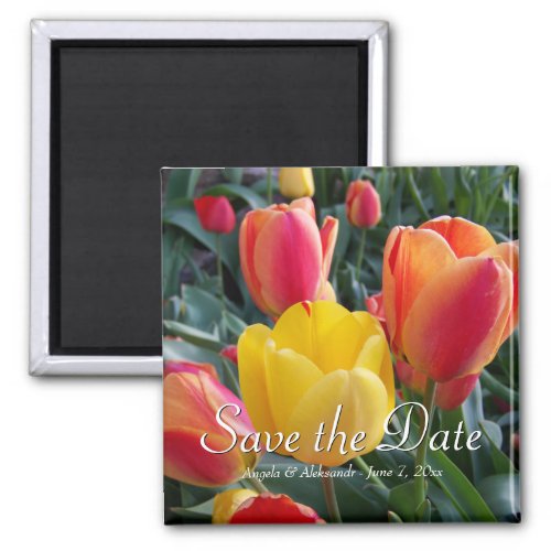 Yellow and Red Tulips Garden Photo Save the Date Magnet