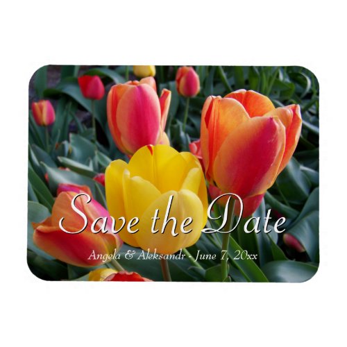 Yellow and Red Tulips Garden Photo Save the Date Magnet