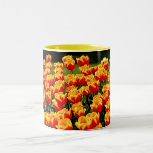 Yellow and red tulips in springtime Two_Tone coffee mug