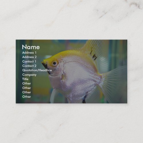 Yellow And Silver Fish In The Tank Business Card Template