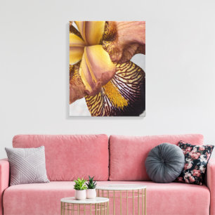 Yellow and Violet Bearded Iris Floral Canvas Print