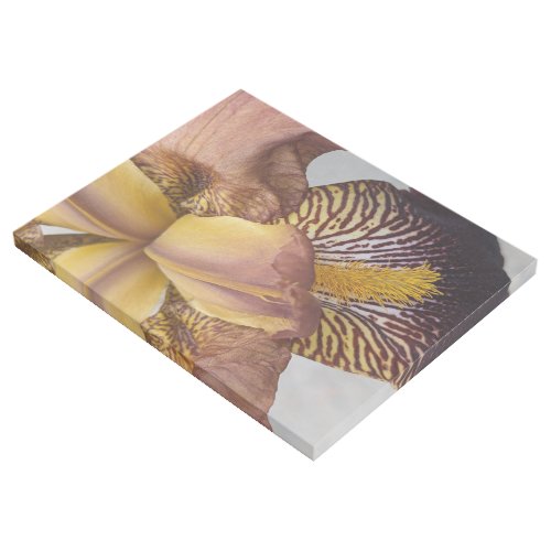 Yellow and Violet Bearded Iris Floral Gallery Wrap