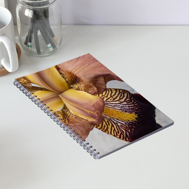 Yellow and Violet Bearded Iris Floral Notebook (In Situ)