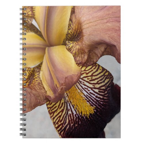 Yellow and Violet Bearded Iris Floral Notebook