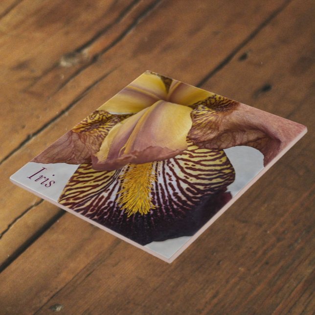 Yellow and Violet Beardless Iris Floral Ceramic Tile (In Situ)