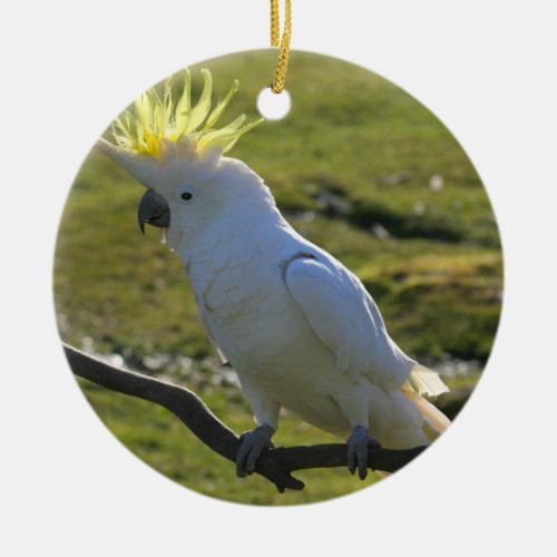 Yellow and White Cockatoo Parrot Ceramic Ornament