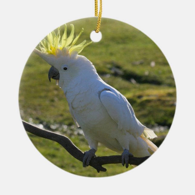 Yellow and White Cockatoo Parrot Ceramic Ornament (Front)