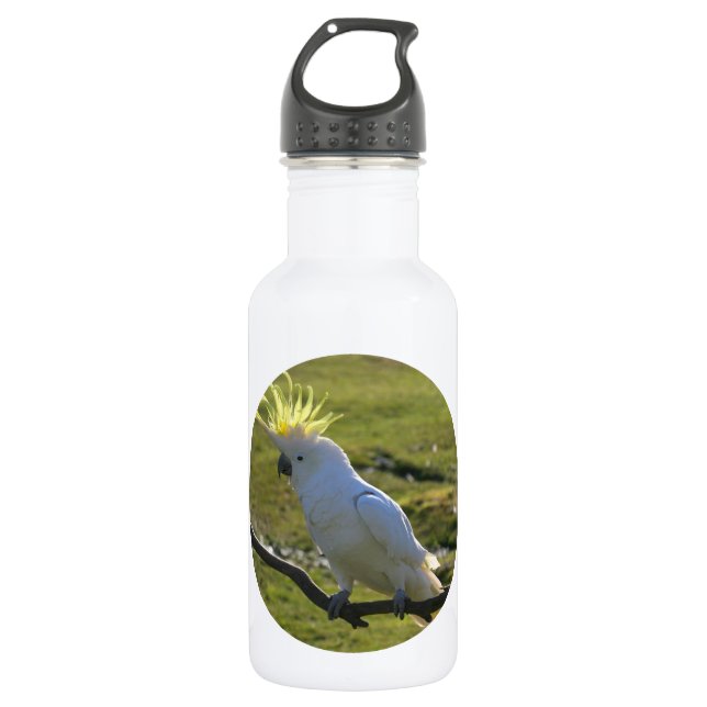 Yellow and White Cockatoo Parrot Stainless Steel Water Bottle (Front)
