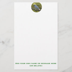 Yellow and White Cockatoo Parrot Stationery