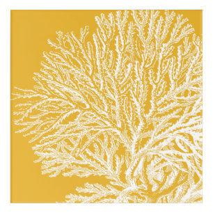 Yellow and White Coral Acrylic Print
