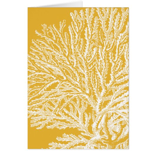 Yellow and White Coral Cards (Front)
