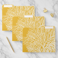 Yellow and White Coral