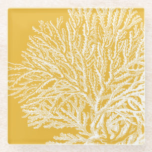 Yellow and White Coral Glass Coaster