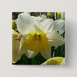 Yellow and White Daffodil Spring Floral Pinback Button