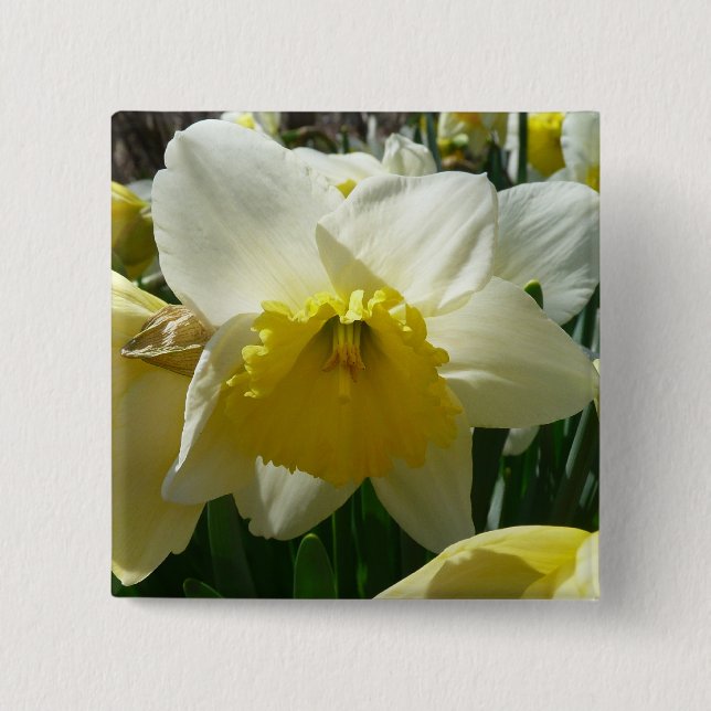 Yellow and White Daffodil Spring Floral Pinback Button (Front)