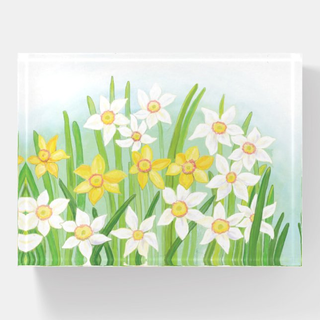 Yellow and White Daffodils in Spring  Paperweight (Front)